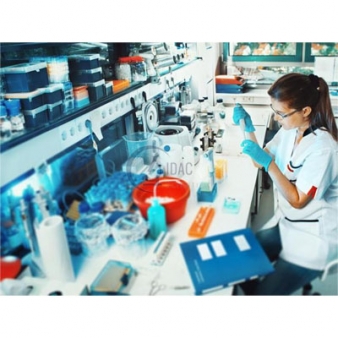 Laboratory Consumables